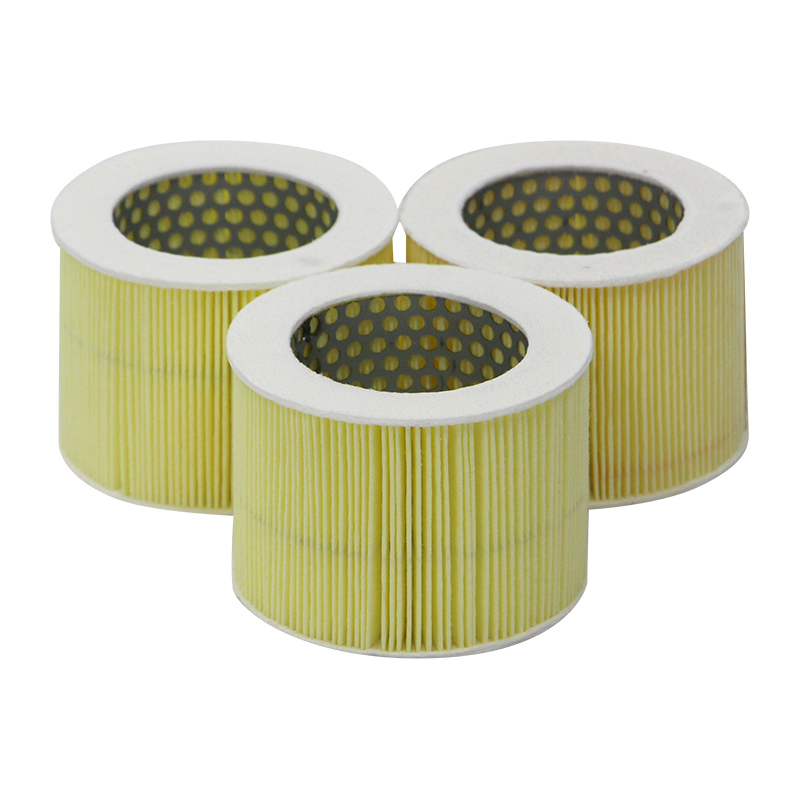 Filtre à air FILTRATION GROUP 852519MIC    3 STK
