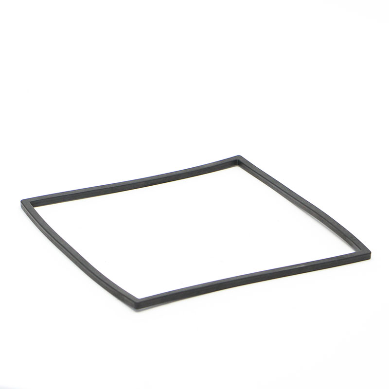 Gasket SF-FILTER DG-30440